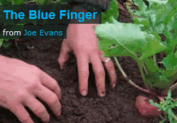 blue finger thumb