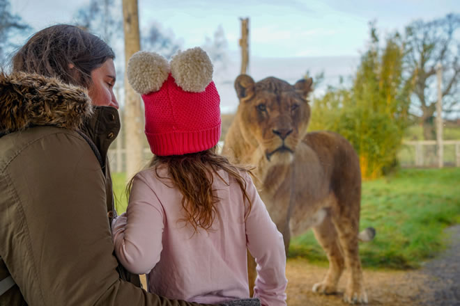 61a80f80-6334-ea4a-bbe4-fc1e04